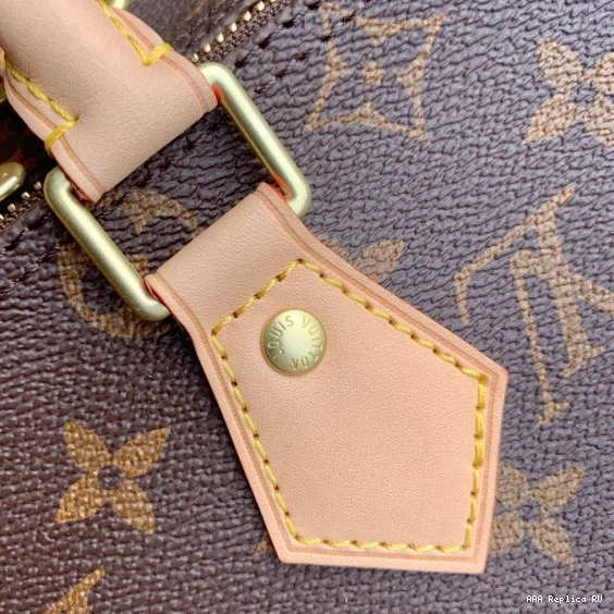 Aaa replica bags Louis SPEEDY Vuitton 25 BANDOULIERE 0821
